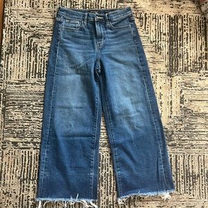 Banana Republic Wide Leg Jeans